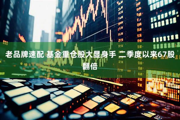 老品牌速配 基金重仓股大显身手 二季度以来67股翻倍